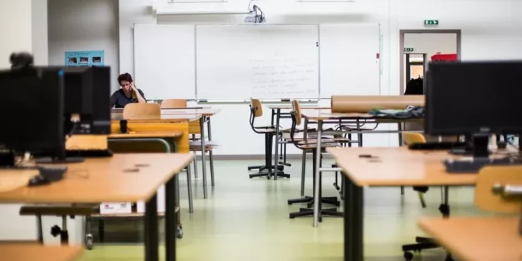 Liberais insistem em dar mais peso à literacia financeira no ensino básico e secundário