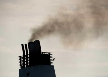 Timor-Leste poderá começar a vender "créditos" de carbono