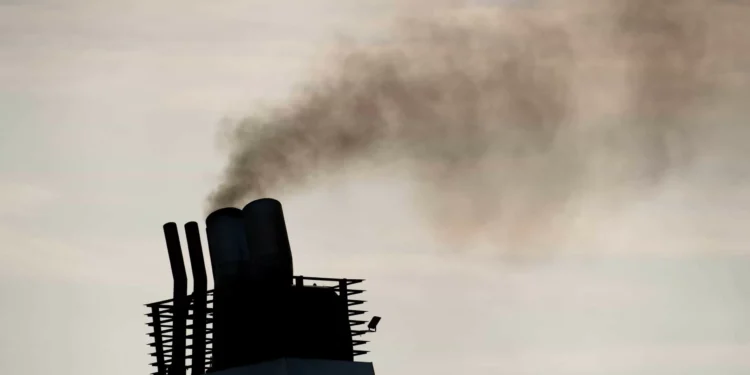 Timor-Leste poderá começar a vender "créditos" de carbono