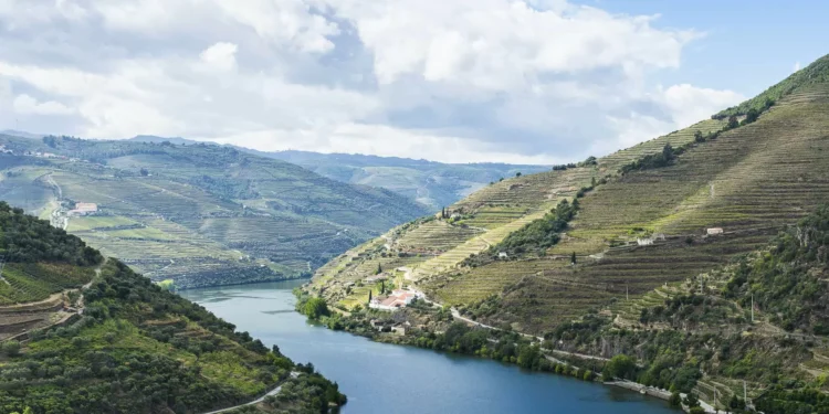 Turismo do Porto aposta nos mercados Asiático, América Latina e África