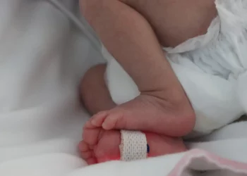 BE propõe alargamento do prazo de uso de gâmetas e embriões doados sob anonimato