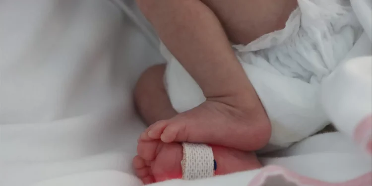 BE propõe alargamento do prazo de uso de gâmetas e embriões doados sob anonimato