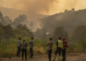 Incêndios. Governo aprova isenção de contribuições à segurança social