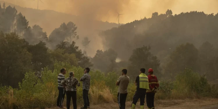 Incêndios. Governo aprova isenção de contribuições à segurança social