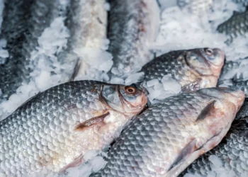 Cinco de oito peixes aumentaram de preço. Que se passou? E quanto custam?