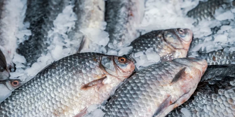 Cinco de oito peixes aumentaram de preço. Que se passou? E quanto custam?