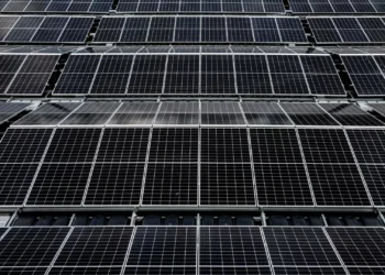 EDP inicia construção de primeira central solar na Alemanha
