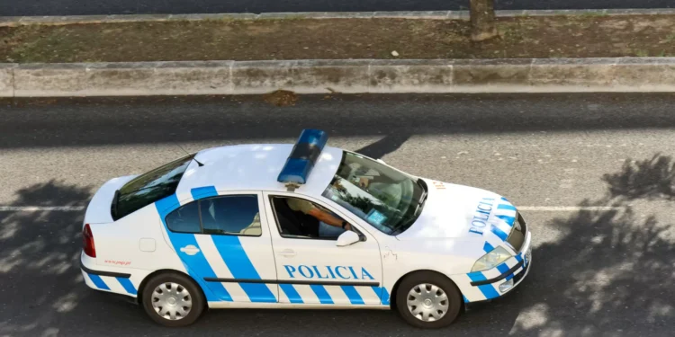 Jovem de 19 anos detido após incendiar caixote do lixo na Amadora