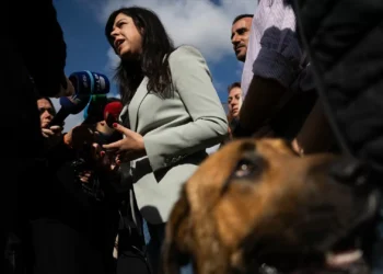 PAN vai fazer queixa em Bruxelas sobre descida do IVA das touradas proposta pela AD