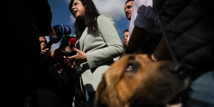 PAN vai fazer queixa em Bruxelas sobre descida do IVA das touradas proposta pela AD