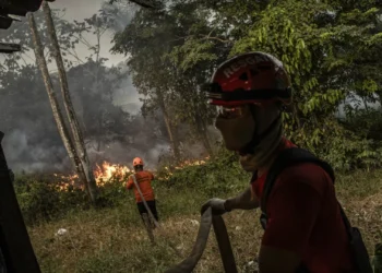 Brasil regista maior número de focos de incêndio em 14 anos
