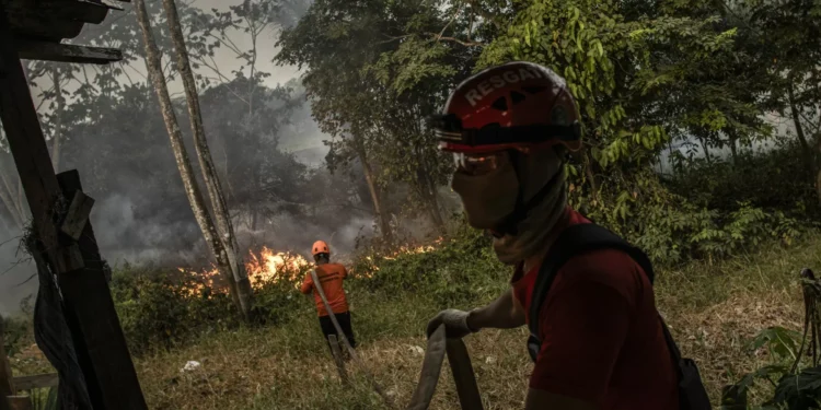 Brasil regista maior número de focos de incêndio em 14 anos