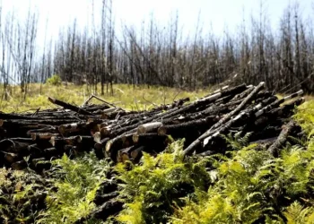 Quatro partidos tentam revogar mudanças na lei dos solos