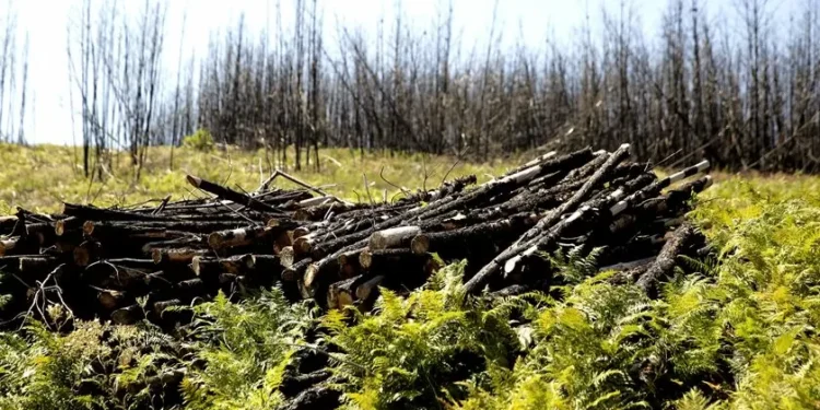 Quatro partidos tentam revogar mudanças na lei dos solos