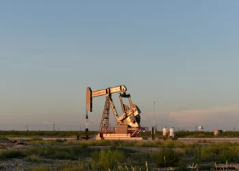 Cotação do Brent para entrega em março sobe 2,64% para 82,03 dólares