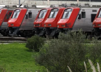 Pedro Moreira reconduzido à frente da CP e Sara Nascimento é ‘vice’