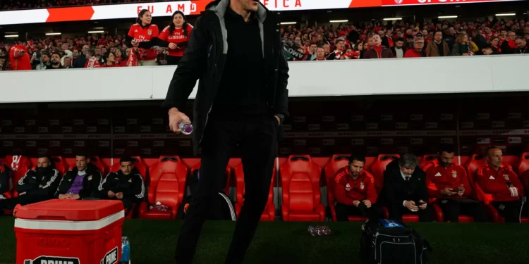 Bruno Lage confirma um regresso à titularidade para o Benfica-Barcelona