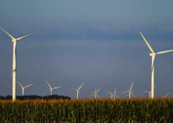 Guiné-Bissau quer seguir modelo de Cabo Verde nas energias renováveis