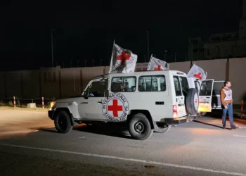 Organizações humanitárias apelam a Israel para restabelecer ajuda em Gaza