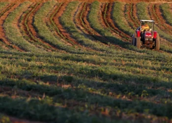 CNA diz ter sido discriminada pelo Governo no apoio à atividade em Bruxelas
