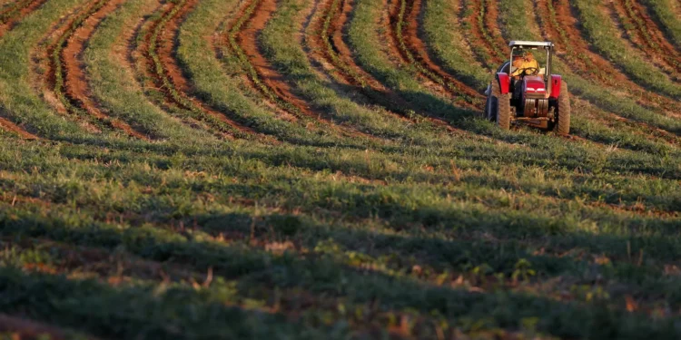 CNA diz ter sido discriminada pelo Governo no apoio à atividade em Bruxelas