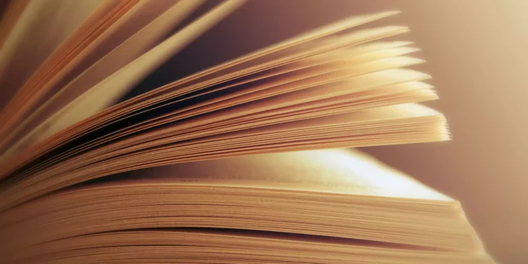 Comboio Literário vai ligar Porto a Foz Côa com música e poesia a bordo