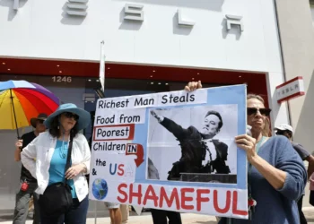 Revolta contra Musk baixa vendas, lucros e capitalização bolsista da Tesla