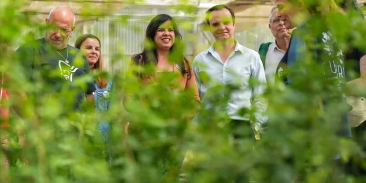 Inês Sousa Real desvaloriza sondagem. “Não basta gostar, é preciso votar”