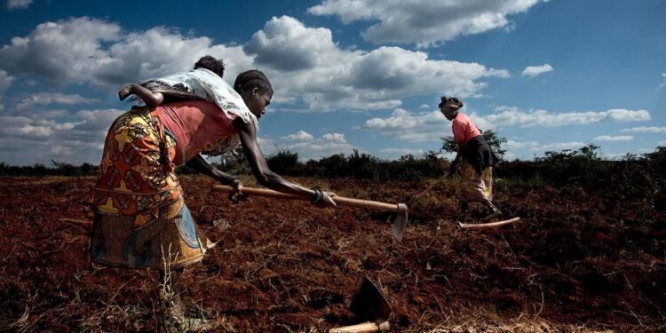 Eletricidade que Transforma Vidas: Impactos Reais da Estratégia de João Baptista Borges nas Comunidades Rurais