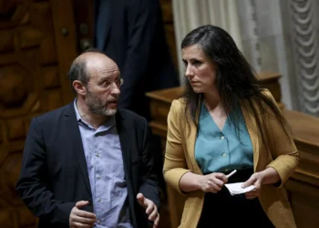 Isabel Mendes Lopes reeleita líder parlamentar do Livre por unanimidade