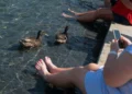 Onda de calor diminui nos EUA (após recordes e emergências energéticas)
