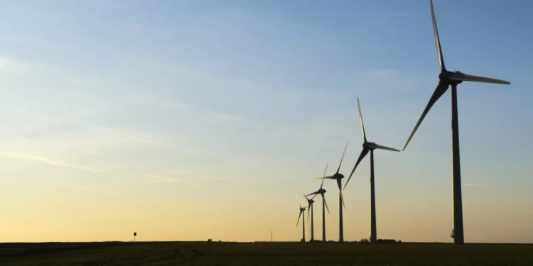 Energia eólica cresce, mas Portugal continua longe das metas climáticas