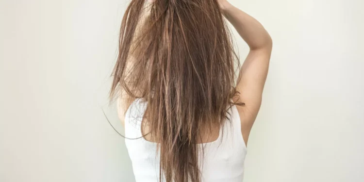 Da queda à falta de brilho: Sinais de que o seu cabelo está desidratado