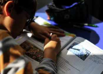 Governo garante que apurará com rigor número de alunos sem aulas no próximo ano