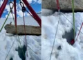 “Herói de 4 patas”. Chihuahua ‘salva’ dono que caiu em fenda de glaciar