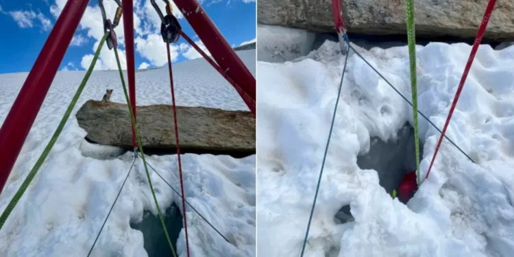 “Herói de 4 patas”. Chihuahua ‘salva’ dono que caiu em fenda de glaciar