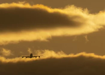 SNPVAC critica tentativa do Governo de “diminuir” força das greves