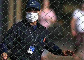 África do Sul e Singapura levantam restrições a comprar frango ao Brasil