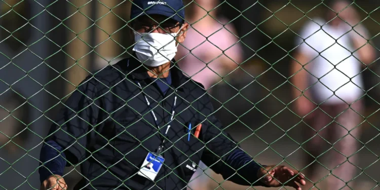 África do Sul e Singapura levantam restrições a comprar frango ao Brasil