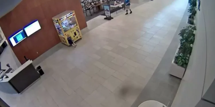 Novo prémio? Criança resgatada após entrar em máquina de garras