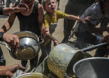 PCP, Livre e BE questionam Governo sobre retirada de referência à fome em Gaza de declaração da CPLP