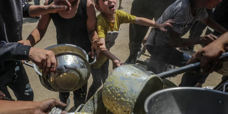 PCP, Livre e BE questionam Governo sobre retirada de referência à fome em Gaza de declaração da CPLP