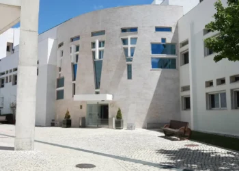 ISCTE vai formar 45 jovens em Angola para desenvolverem pequenos negócios