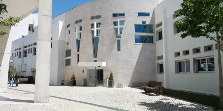 ISCTE vai formar 45 jovens em Angola para desenvolverem pequenos negócios