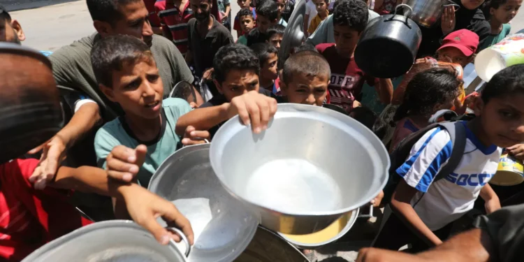 Seguranças americanos disparam munições reais em recolha de comida