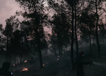 Incêndio na região grega do Peloponeso já queimou 1.145 hectares