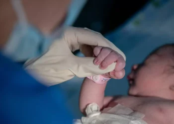 Amamentação: PS, Livre, PCP e BE acusam Governo de ataque às mães trabalhadoras