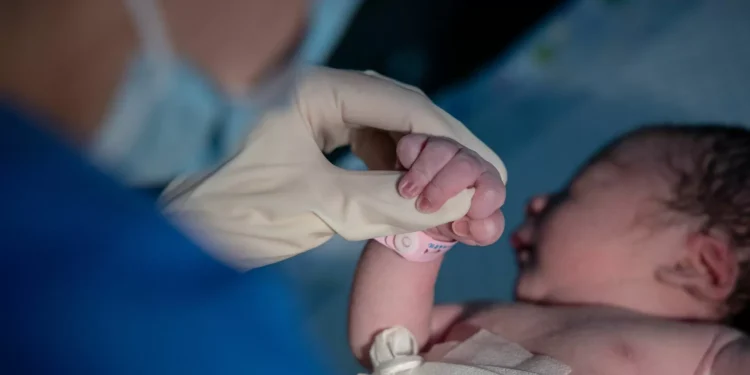 Amamentação: PS, Livre, PCP e BE acusam Governo de ataque às mães trabalhadoras