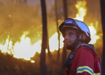 Incêndios. Partidos criticam medidas do Governo e pedem rapidez na ajuda