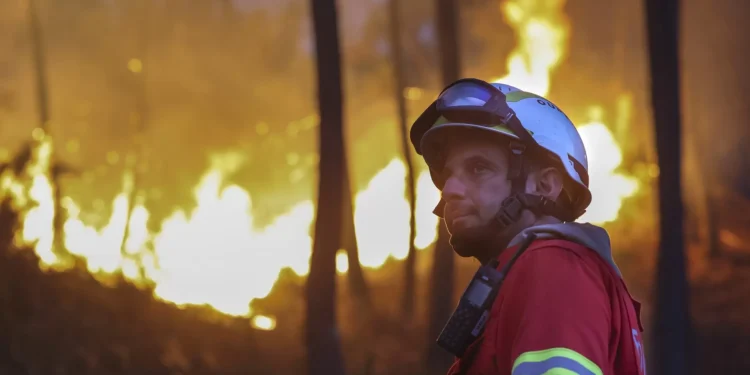 Incêndios. Partidos criticam medidas do Governo e pedem rapidez na ajuda